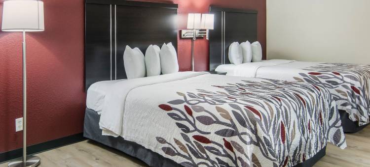 宾厄姆顿北部红屋顶客栈(Red Roof Inn Binghamton North)图片