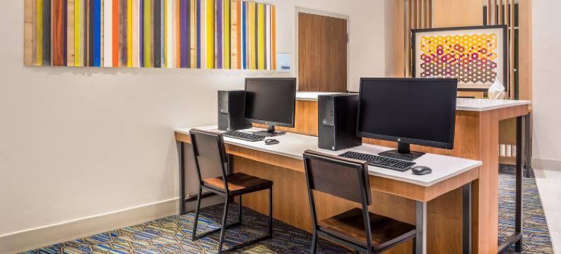 法姆维尔洲际智选假日套房酒店(Holiday Inn Express & Suites FARMVILLE by IHG)图片