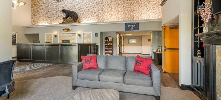 黑熊旅馆，Ascend酒店系列(Black Bear Inn, Ascend Hotel Collection)图片