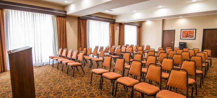 什里夫波特西舒眠套房酒店(Sleep Inn & Suites Shreveport West)图片