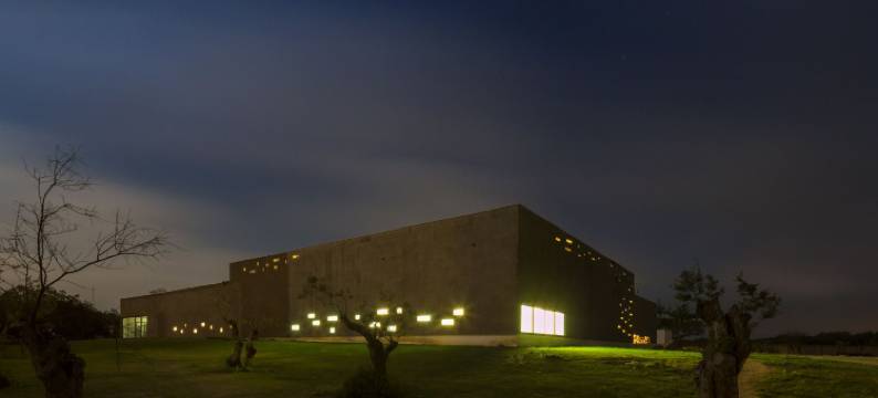 林斯埃科克酒店埃武拉(The Lince Ecorkhotel Évora)图片