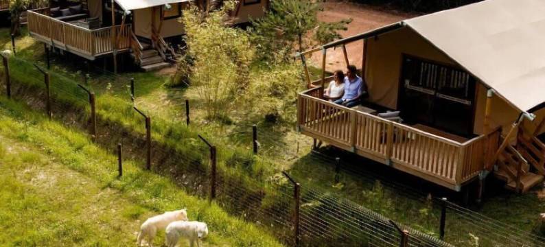 CERZA野生动物园小屋(Cerza Safari Lodge)图片