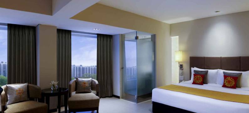 瓦多达拉苏亚宫殿美爵酒店(Grand Mercure Vadodara Surya Palace)图片