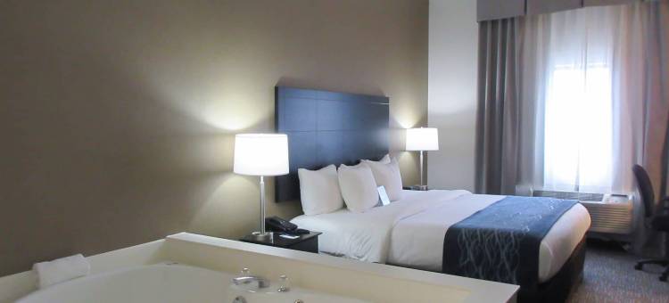 舒适酒店(Comfort Inn)图片