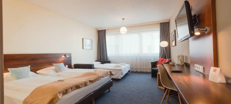 大使国际贝斯特韦斯特酒店(Best Western Hotel Ambassador)图片