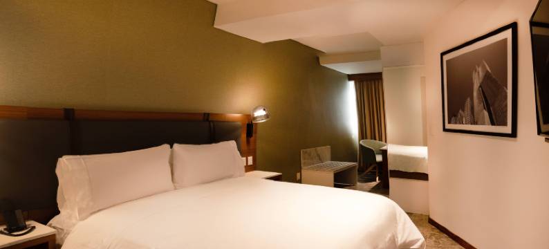 墨西哥城波朗科温德姆花园酒店(Hilton Garden Inn Mexico City Polanco)图片