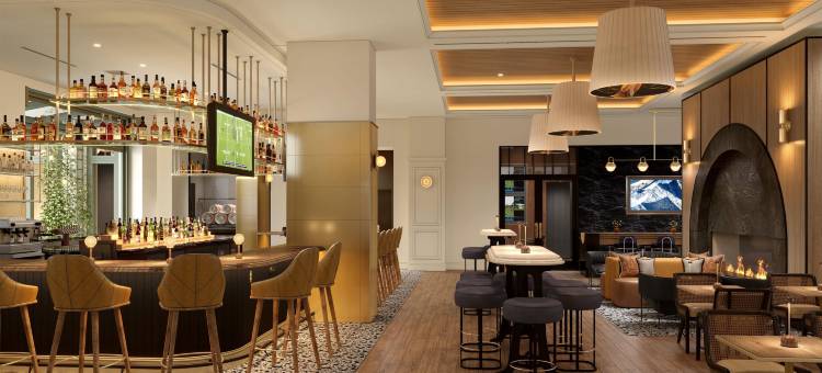Lowline酒店, 凯悦Jdv旗下(The Lowline Hotel, Part of Jdv by Hyatt)图片