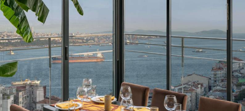 伊斯坦布尔塔克西姆索菲特酒店(Sofitel Istanbul Taksim)图片