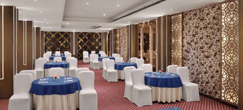 德文彻萨罗瓦波蒂科帕特尔纳加尔(Deventure Sarovar Portico Patel Nagar)图片