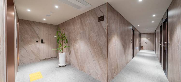 江南卡帕斯酒店(Capace Hotel Gangnam)图片