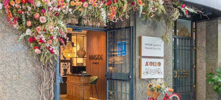 INNSiDE by Meliá 马德里格兰大街(INNSiDE by Meliá Madrid Gran Vía)图片