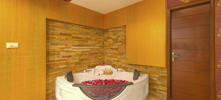 拜迪柠檬树酒店(Lemon Tree Hotel Baddi)图片