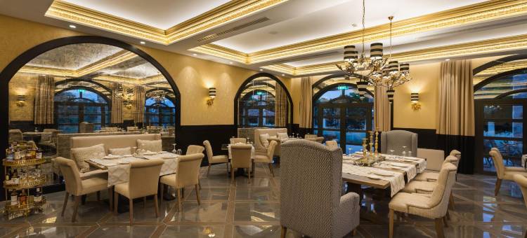 基尼斯卡宫 SPA 会议酒店(Kyniska Palace Conference & Spa)图片