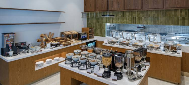 希尔顿花园酒店伊斯坦布尔彭迪克(Hilton Garden Inn Istanbul Pendik)图片