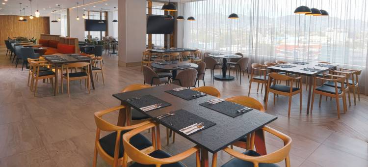 蒙特雷科技园希尔顿欢朋酒店(Hampton by Hilton Monterrey Tecnologico)图片