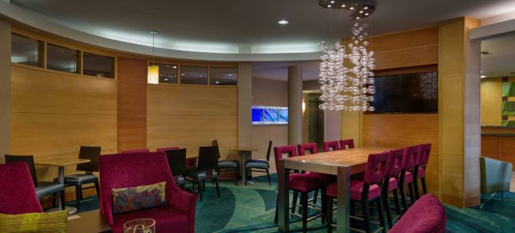 圣彼得堡清水SpringHill套房酒店(SpringHill Suites St. Petersburg Clearwater)图片