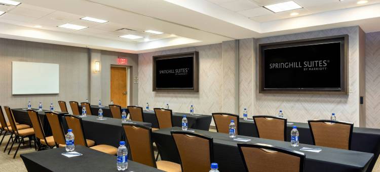 迈阿密机场南SpringHill Suites 酒店(SpringHill Suites by Marriott Miami Airport South Blue Lagoon Area)图片