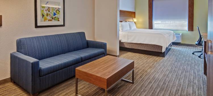 智选假日套房酒店克拉克斯(Holiday Inn Express & Suites CLARKSVILLE by IHG)图片