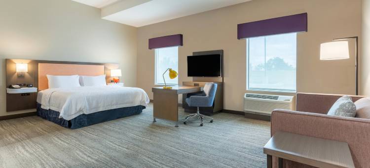 盖蒙希尔顿欢朋套房酒店(Hampton Inn and Suites Guymon)图片