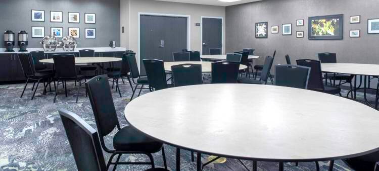 兰辛伊斯特伍德Homewood Suites by Hilton(Homewood Suites by Hilton Lansing Eastwood)图片