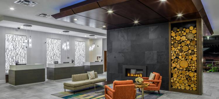 罗彻斯特希尔顿逸林酒店(DoubleTree by Hilton Hotel Rochester)图片