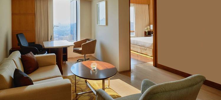 金奈凯悦王朝酒店(Hyatt Regency Chennai)图片