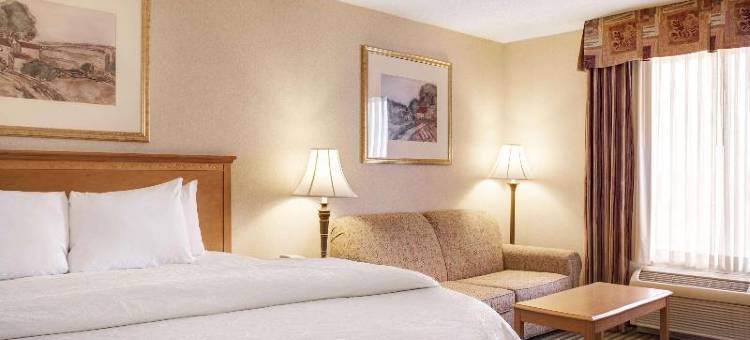 希尔顿欢朋套房酒店-艾迪生(Hampton Inn & Suites Addison)图片