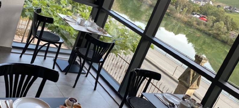 生活别墅酒店(Hotel Villa VIE Cochem)图片