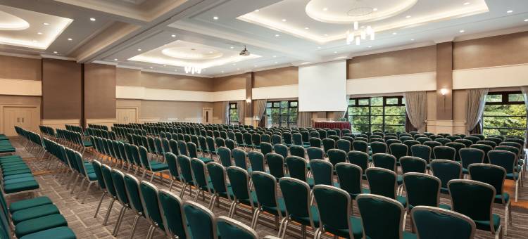 Crowne Plaza 贝尔法斯特皇冠假日酒店(Crowne Plaza Belfast)图片