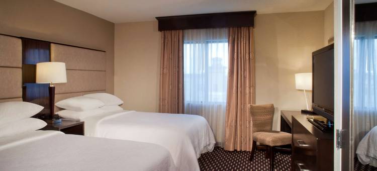 休斯顿希尔顿安泊套房酒店-近加勒里亚(Embassy Suites by Hilton Houston Near the Galleria)图片
