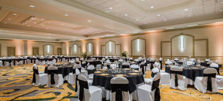 印第安纳波利斯希尔顿套房酒店(Hilton Indianapolis Hotel & Suites)图片