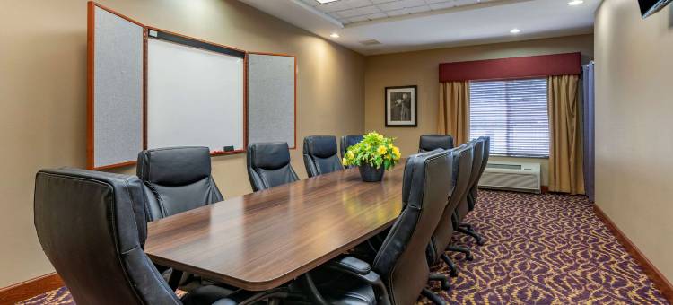 舒适套房酒店-乌尔班纳香槟大学城(Comfort Suites Urbana Champaign, University Area)图片