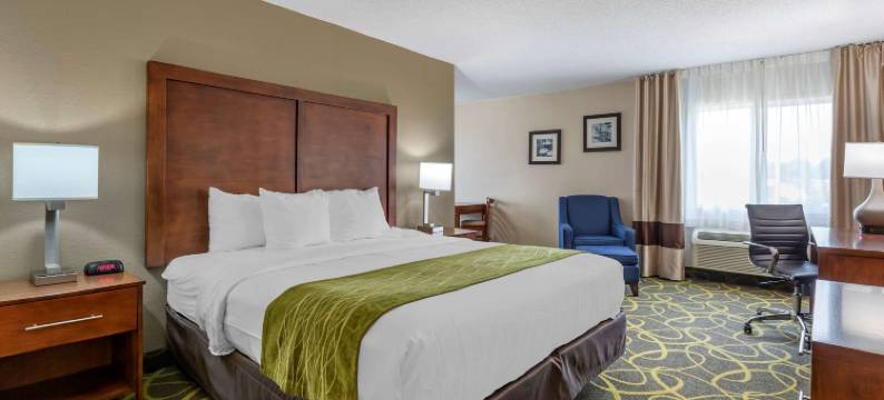 马斯卡廷舒适酒店(Comfort Inn Muscatine Near Hwy 61)图片