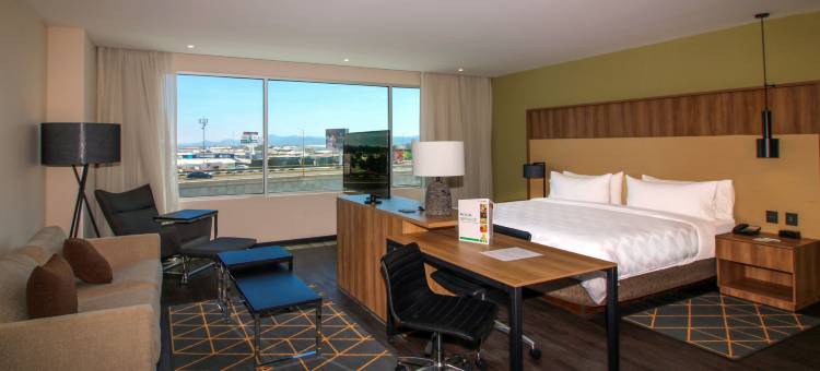 Holiday Inn 圣路易斯波托西 - 堂吉诃德(Holiday Inn San Luis Potosi-Quijote)图片