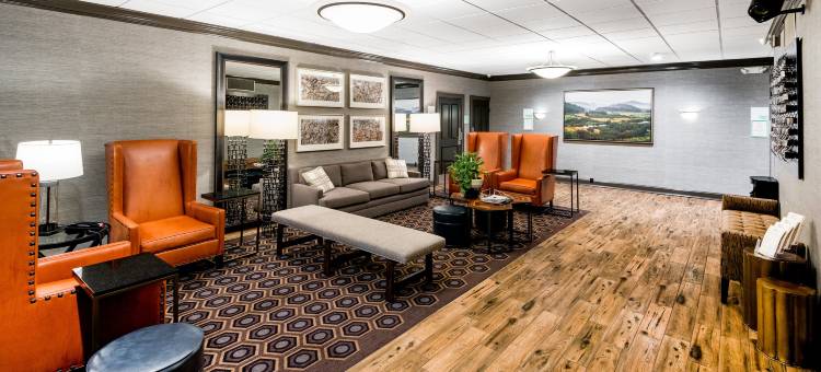 约翰斯敦格洛弗斯维尔假日酒店(Holiday Inn Johnstown-Gloversville)图片