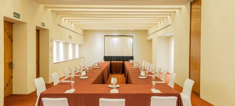 蒙特雷卡米诺里尔酒店(Camino Real Monterrey)图片