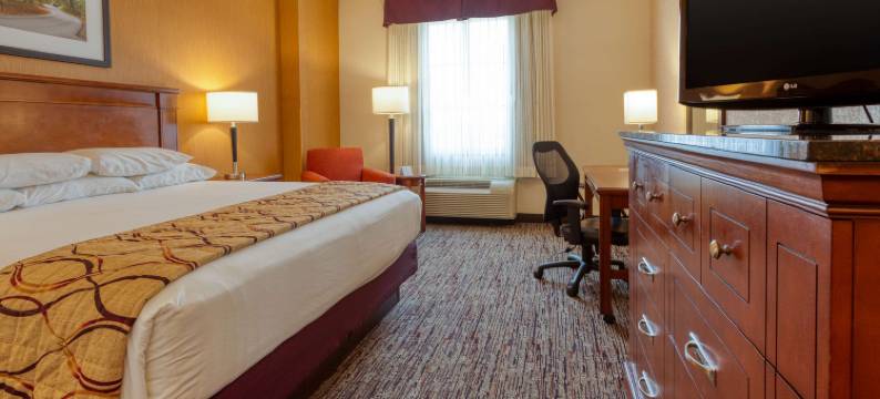 印第安纳波利斯东北德鲁里套房酒店(Drury Inn & Suites Indianapolis Northeast)图片