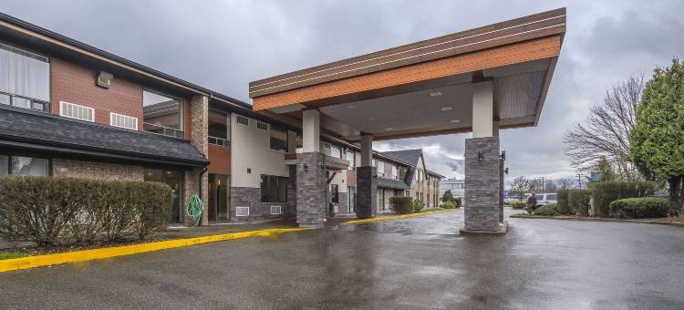 舒适酒店(Comfort Inn)图片