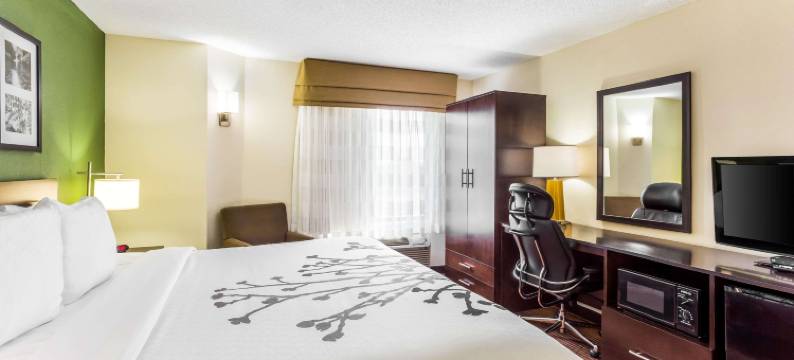 金斯波特三城机场舒眠套房酒店(Sleep Inn & Suites Kingsport TriCities Airport)图片