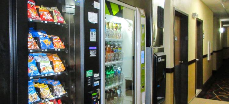 品质套房酒店(Quality Inn & Suites)图片