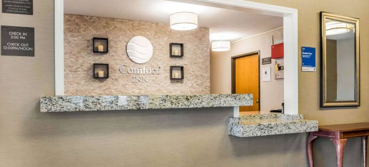 渥太华饿岩区舒适酒店(Comfort Inn Ottawa Starved Rock Area)图片