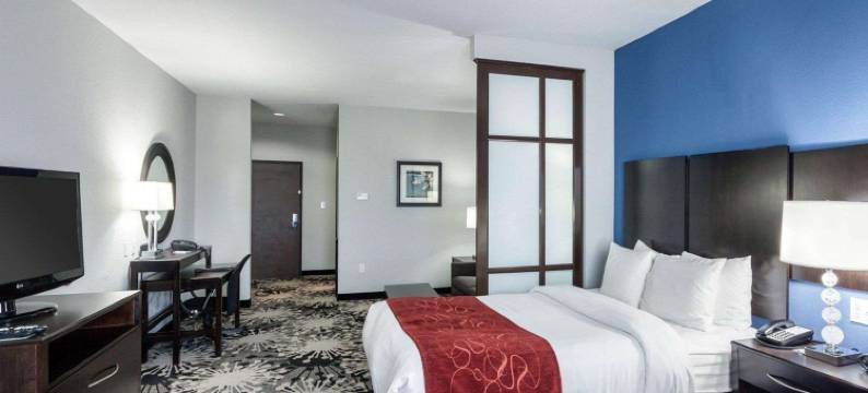 格林维尔舒适套房酒店(Comfort Suites Greenville)图片