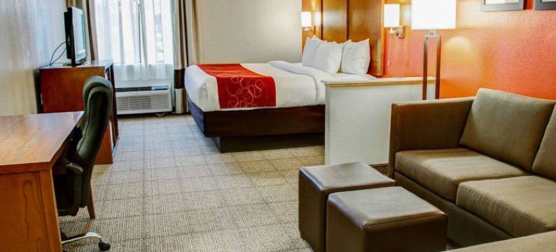 舒适套房酒店-泰勒南(Comfort Suites Tyler South)图片