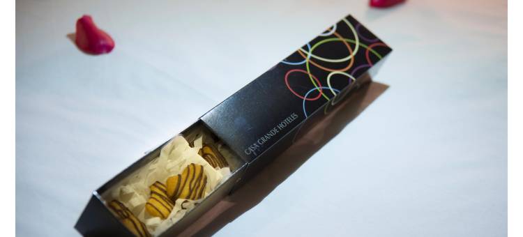 卡萨格兰德套房酒店(Casa Grande Suites)图片