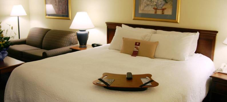 希尔顿欢朋酒店-威廉斯顿(Hampton Inn Williamston)图片