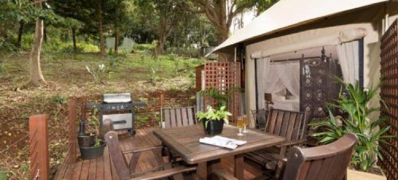 云霄之旅帐篷营地(Clouds Safari)图片