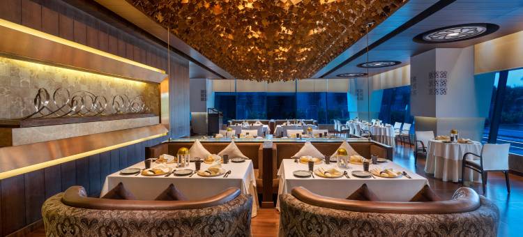 大诺伊达皇冠假日酒店(Crowne Plaza Greater Noida)图片