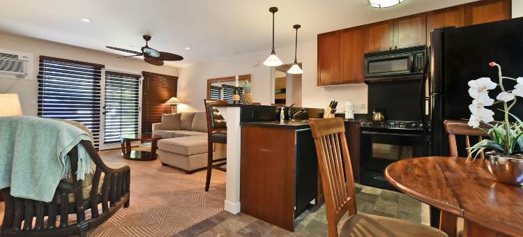 Aina Nalu A104图片