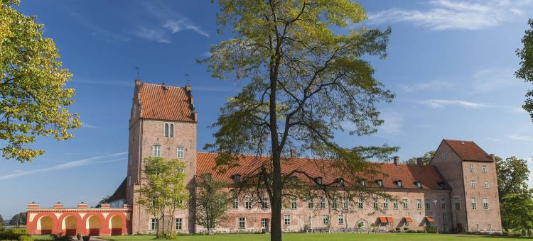 巴卡斯戈斯洛特-加龙省酒店(Bäckaskog Slott)图片