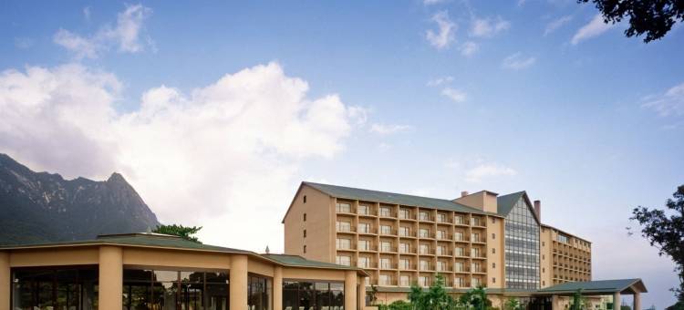 屋久岛岩崎酒店(Yakushima Iwasaki Hotel)图片